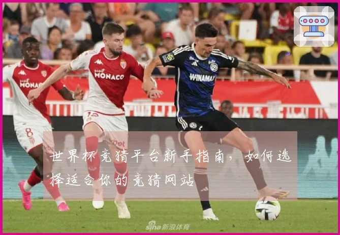 世界杯竞猜平台新手指南，如何选择适合你的竞猜网站
