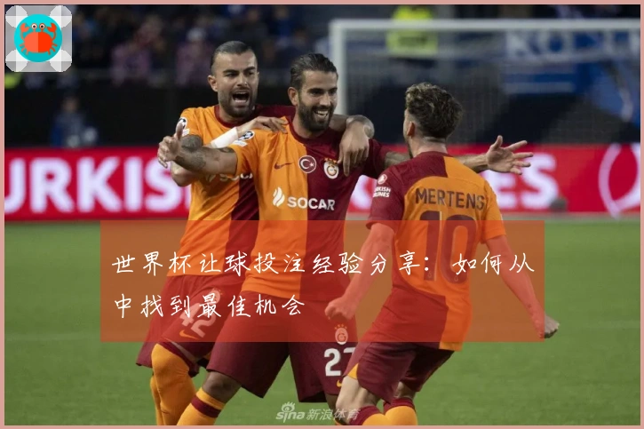 世界杯让球投注经验分享：如何从中找到最佳机会
