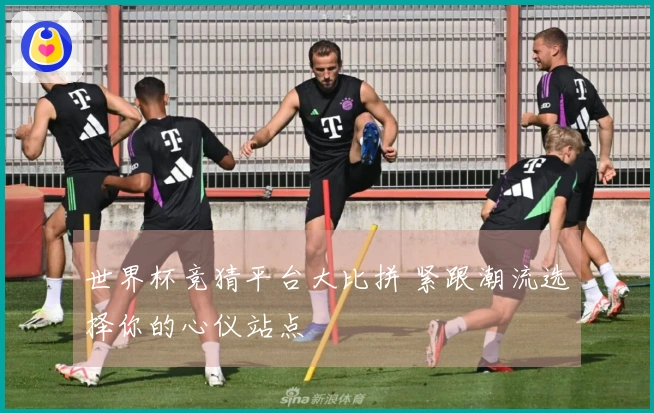 世界杯竞猜平台大比拼 紧跟潮流选择你的心仪站点