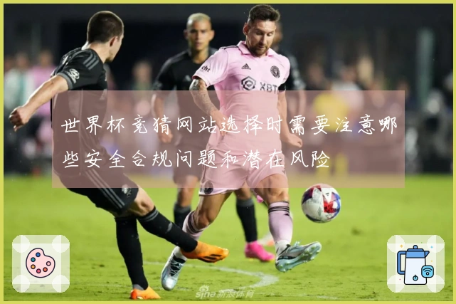 世界杯竞猜网站选择时需要注意哪些安全合规问题和潜在风险