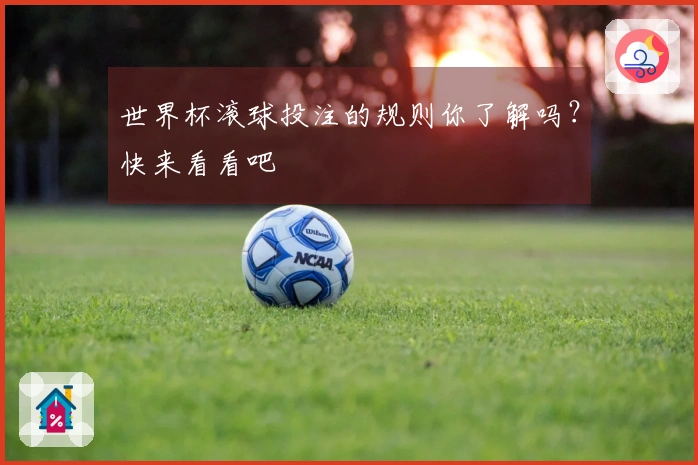 世界杯滚球投注的规则你了解吗？快来看看吧